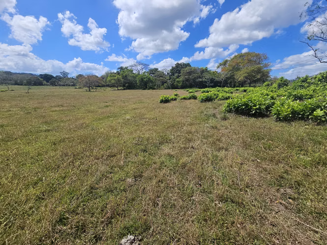 Terreno de 5,000 m² en Capira – Ideal para inversión o vivienda