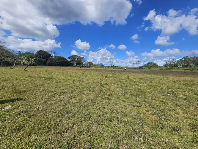 Terreno de 5,000 m² en Capira – Ideal para inversión o vivienda
