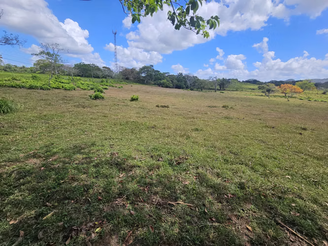 Terreno de 5,000 m² en Capira – Ideal para inversión o vivienda