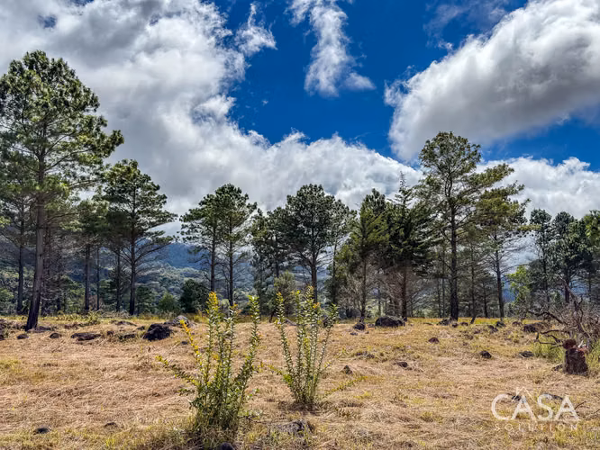 Lote A10 | Terreno de 2,756.96 m² en Venta en Volcán, Chiriquí