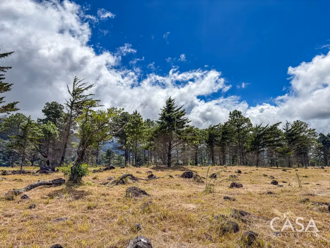 Lote A10 | Terreno de 2,756.96 m² en Venta en Volcán, Chiriquí