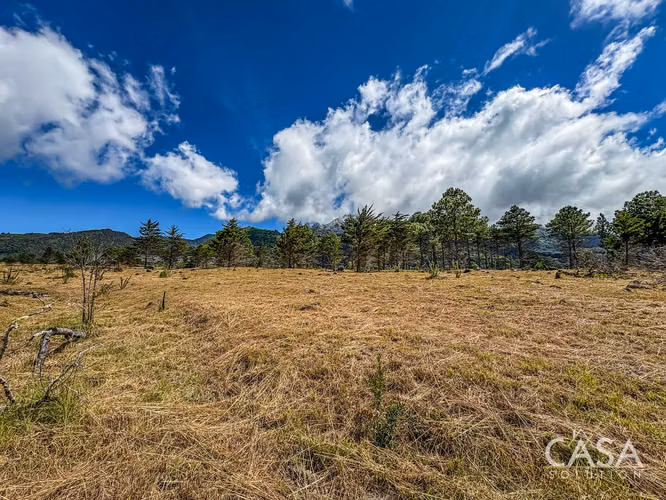 Lote A10 | Terreno de 2,756.96 m² en Venta en Volcán, Chiriquí
