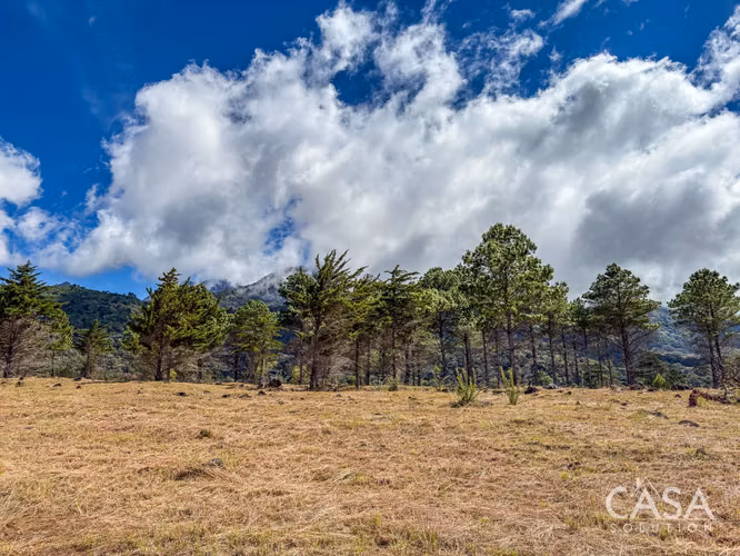 Lote A10 | Terreno de 2,756.96 m² en Venta en Volcán, Chiriquí
