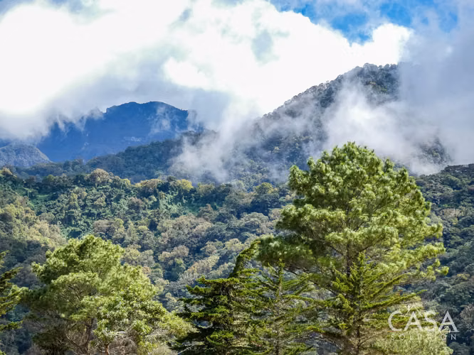 Lote A10 | Terreno de 2,756.96 m² en Venta en Volcán, Chiriquí