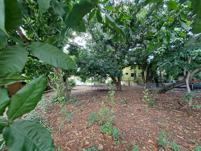 VENTA TERRENO RIO ABAJO PANAMA - Imagen 16