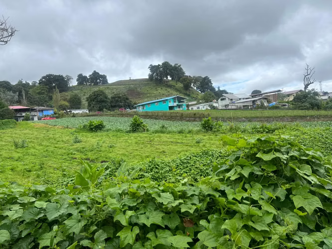 TERRENO EN CERRO PUNTA - Imagen 8