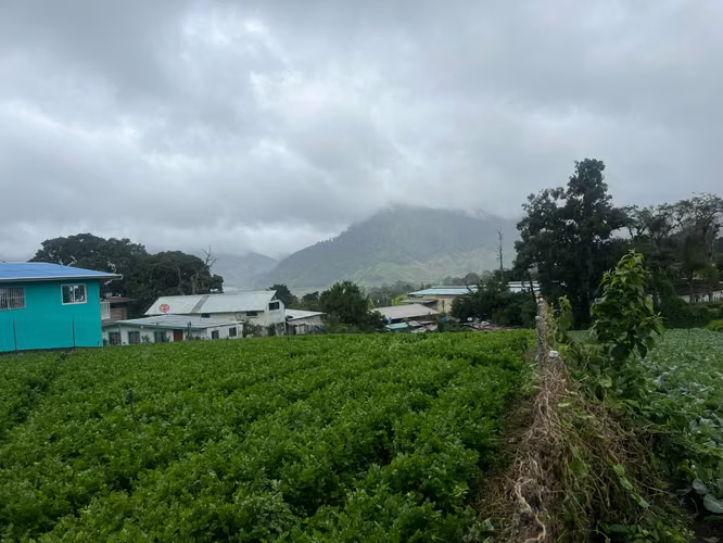 TERRENO EN CERRO PUNTA - Imagen 4