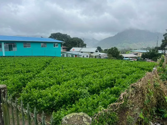 TERRENO EN CERRO PUNTA - Imagen 5