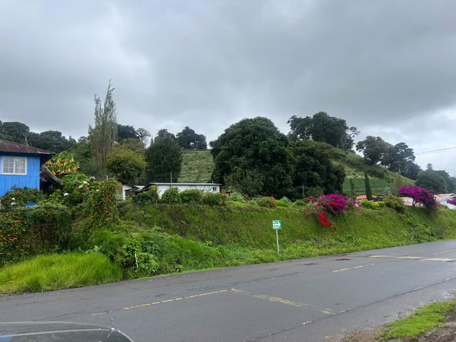 TERRENO EN CERRO PUNTA - Imagen 2