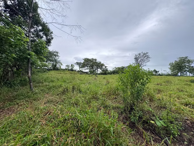 REMATE FINCA EN LA ECEQUIA, POTRERILLOS - Imagen 7