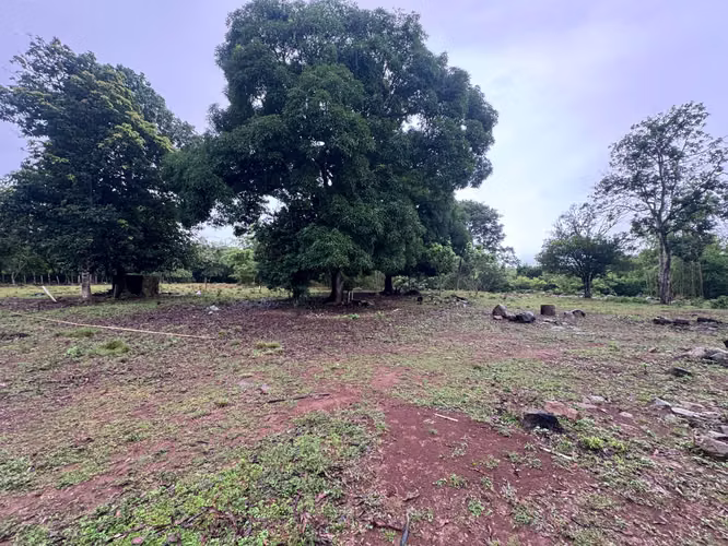 REMATE FINCA EN LA ECEQUIA, POTRERILLOS - Imagen 9