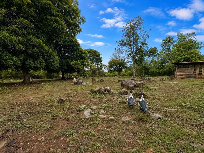 REMATE FINCA EN LA ECEQUIA, POTRERILLOS - Imagen 4