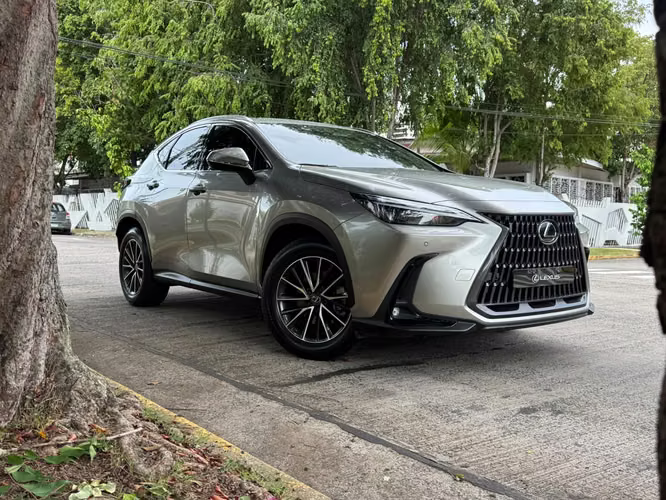 LEXUS NX350H 2024 HYBRID - Imagen 3