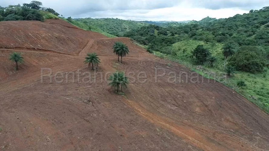 Se Vende Terreno en Pedasi MDV26-6828 - Imagen 6