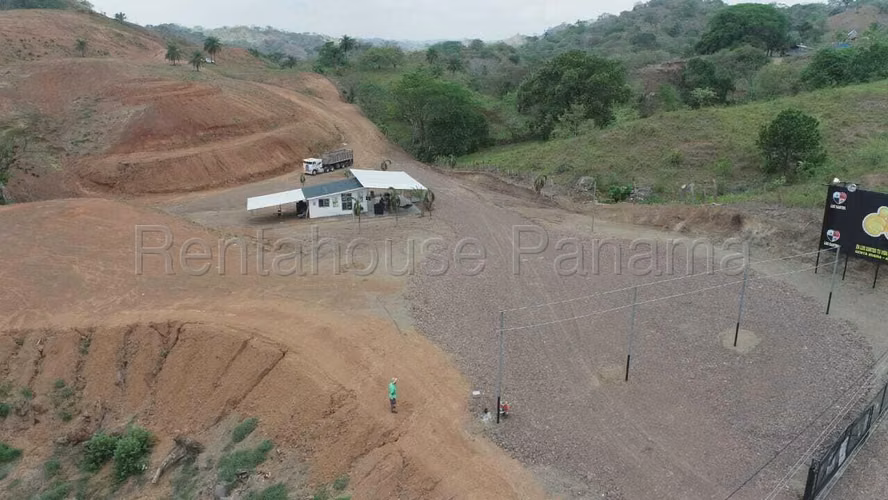 Land for Sale in Pedasi MDV26-6828
