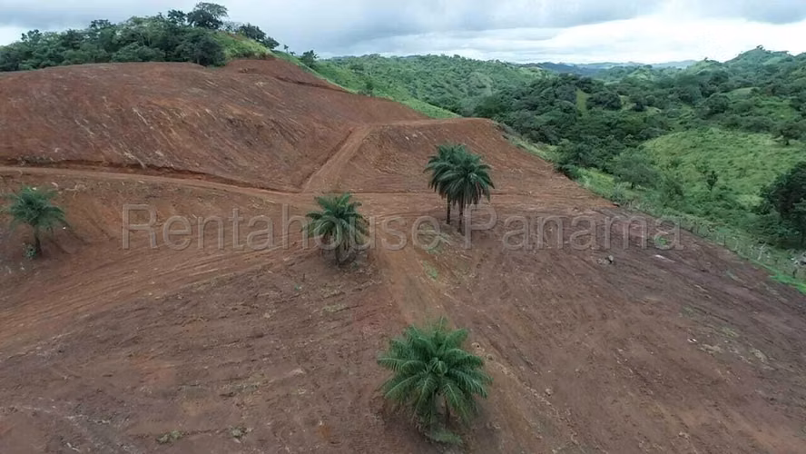 Se Vende Terreno en Pedasi MDV26-6828 - Imagen 9