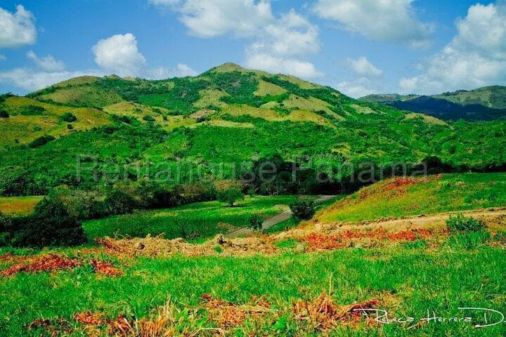 Land for Sale in Penonome MDV26-7026