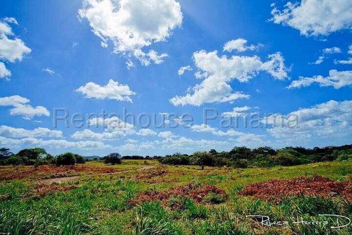 Se Vende Terreno en Penonome MDV26-7026 - Imagen 6