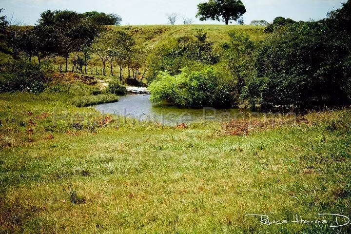 Se Vende Terreno en Penonome MDV26-7026 - Imagen 4