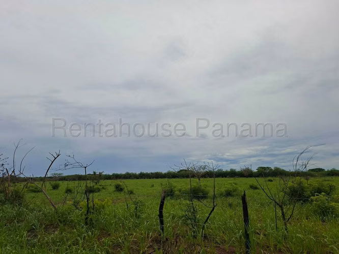 Se Vende Terreno en Buenaventura MDV26-6798 - Imagen 12