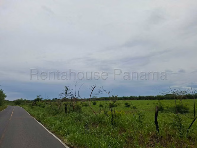 Land for Sale in Buenaventura MDV26-6798