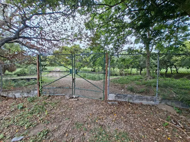 Se Vende Terreno en Buenaventura MDV26-6798 - Imagen 14