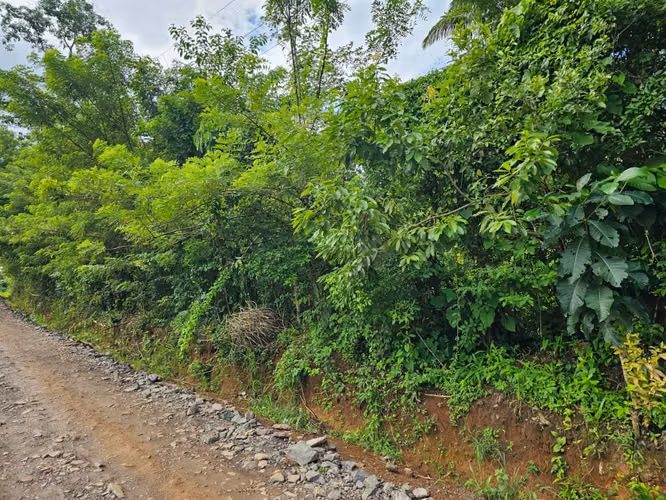 VENDO TERRENO DE 6,326.53 M² EN EL COCO, LA CHORRERA