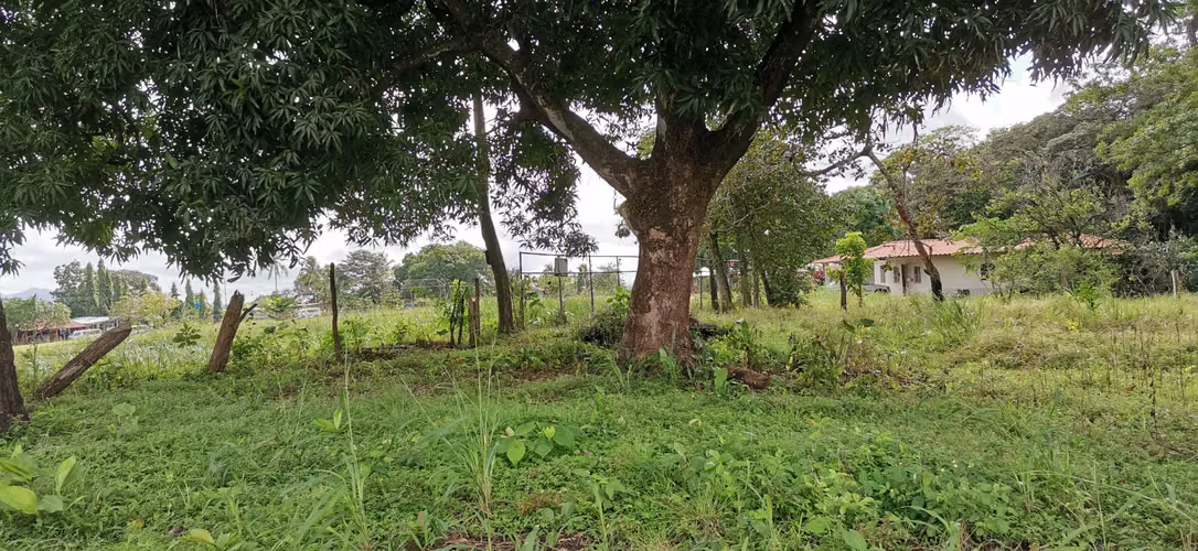 Casa y/o finca en Alquiler - Utivé, Pacora - Imagen 4