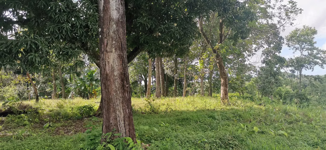 Casa y/o finca en Alquiler - Utivé, Pacora - Imagen 2
