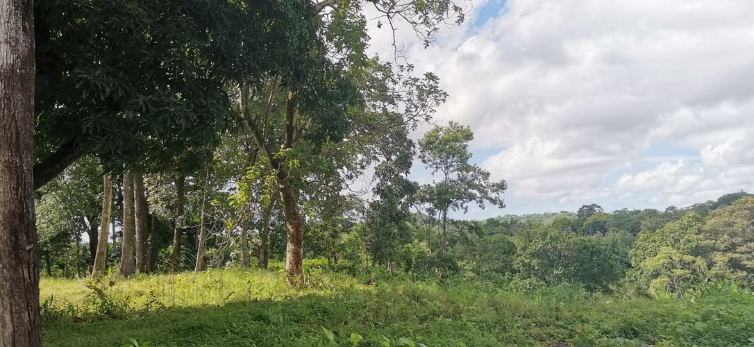 Casa y/o finca en Alquiler - Utivé, Pacora - Imagen 5
