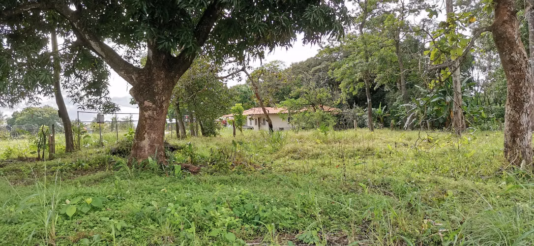 Casa y/o finca en Alquiler - Utivé, Pacora - Imagen 3