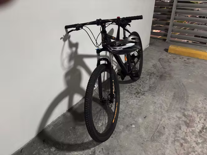 BICICLETA RALLY