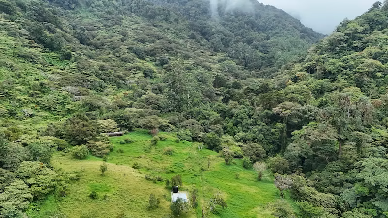 Offer, Coffee farm, Alto Lino, Boquete, Chiriquí
