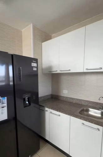 Se Alquila Apartamento Línea Blanca Nueva, PH Ecco Tower La Loma - Imagen 9