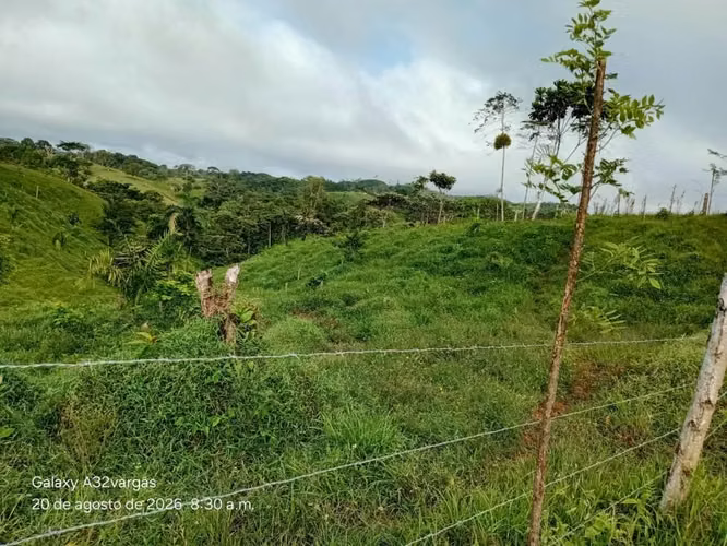 Se vende terreno o se cambia por carro ganado, ovejas, cabras