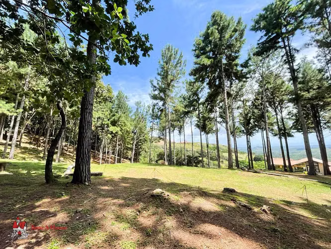 Terreno en Venta en Las Lajas. 26-2281. - Imagen 14