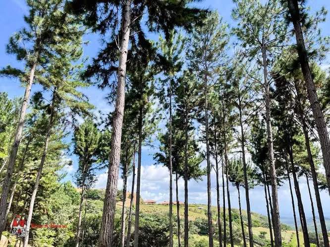 Terreno en Venta en Las Lajas. 26-2281. - Imagen 11