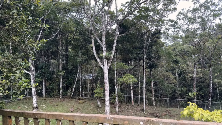 SE VENDE ACOGEDORA CASA EN LOS ALTOS DE CERRO AZUL - Imagen 17