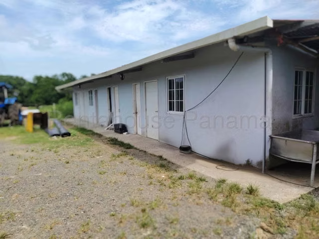 Venta finca agro-ganadera Gatuncillo, Colón 26GC8679