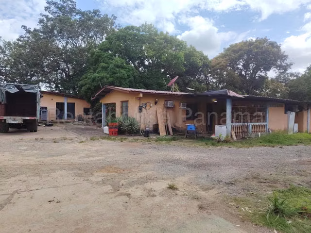 Venta finca agro-ganadera Gatuncillo, Colón 26GC8679
