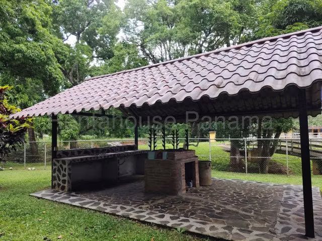 Venta finca agro-ganadera Gatuncillo, Colón 26GC8679