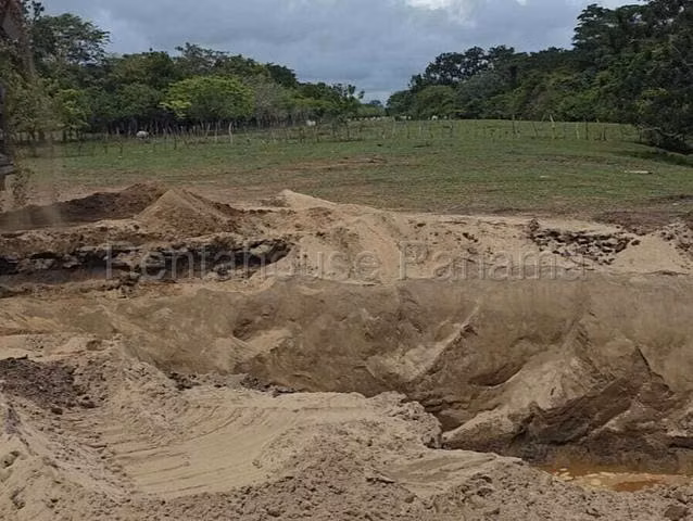 Terreno en Venta en Paso Blanco JG - Imagen 2