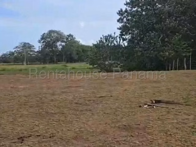Terreno en Venta en Paso Blanco JG