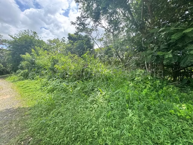 Land For Sale Las Cumbres – 4,309m² – Residential Lot