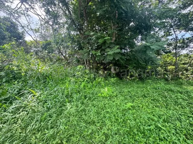 Venta de Lote en Las Cumbres – 4,309m² – Terreno - Imagen 3
