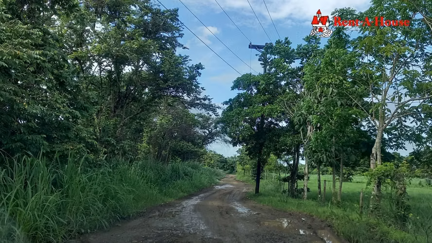 Lote de 25 HA en Pacora 24YCG5570 - Imagen 7