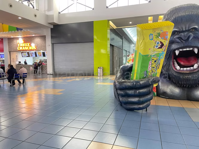 ALQUILER DE LOCAL COMERCIAL EN ALBROOK  - ALBROOK MALL - Imagen 4