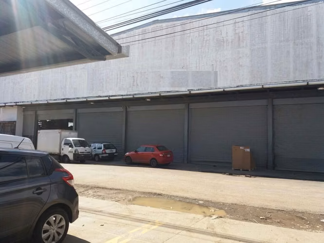 VENTA DE GALERA LLANO BONITO GM - Imagen 19