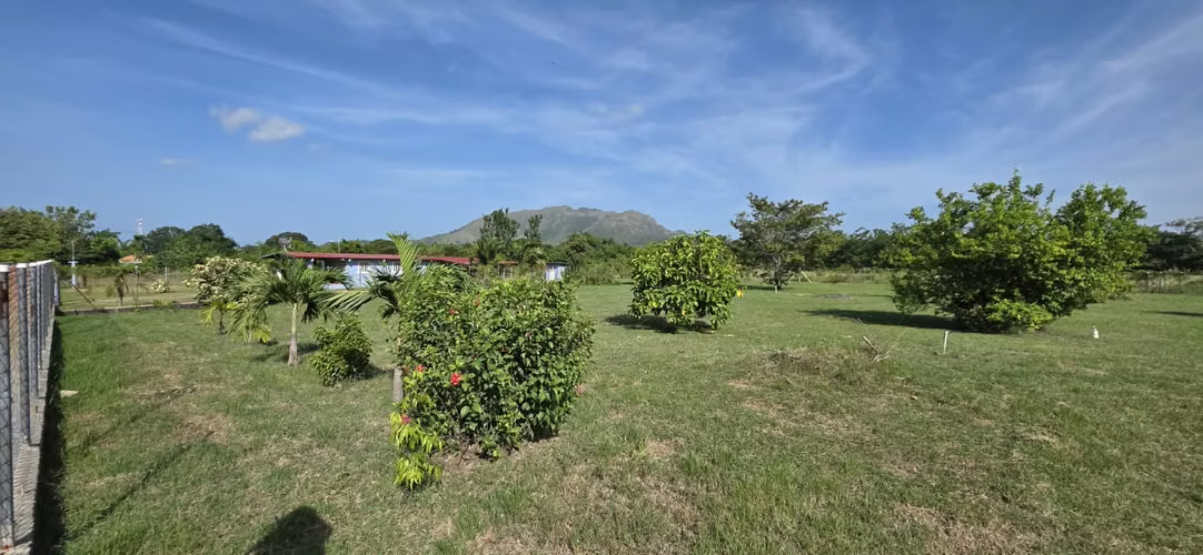 Terreno Titulado en Venta en El Mangote, Punta Chame | Frente a Vía Principal - Imagen 15