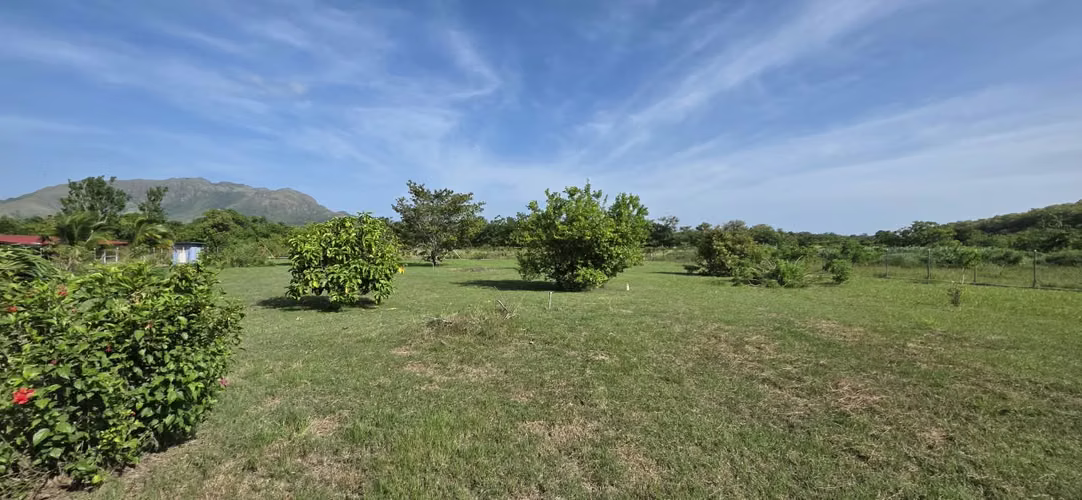 Terreno Titulado en Venta en El Mangote, Punta Chame | Frente a Vía Principal - Imagen 13